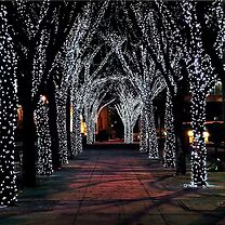 Decorative LED Solar Lights - 3 Sizes, 9 Colours