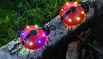 Outdoor Solar Ladybird Garden Light - 2 Lighting Options!