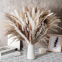50-Piece Elegant Dried Pampas Grass Set