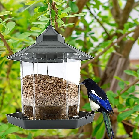 Bird Feeder with Canopy - 2 Colours