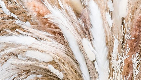 50-Piece Elegant Dried Pampas Grass Set