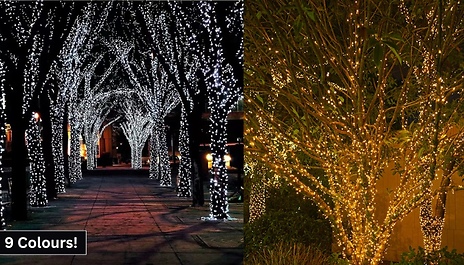 Decorative LED Solar Lights - 3 Sizes, 9 Colours