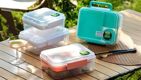 School Lunch Box with Sections & Snack Pot - 3 Colours & 2 Sizes