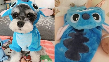 Plush Velvet Dog Outfit - 6 Sizes