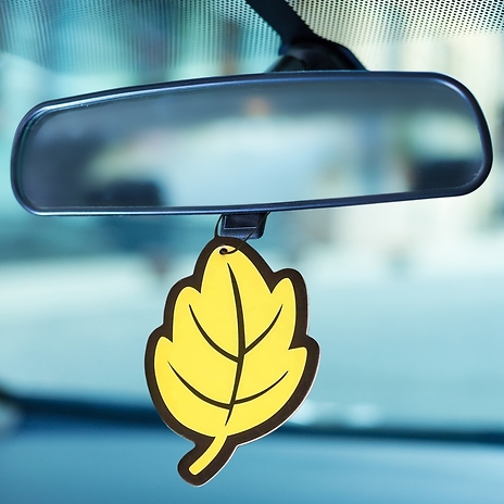 3, 6 or 10-Pack of Scented Car Air Fresheners - 5 Scents!