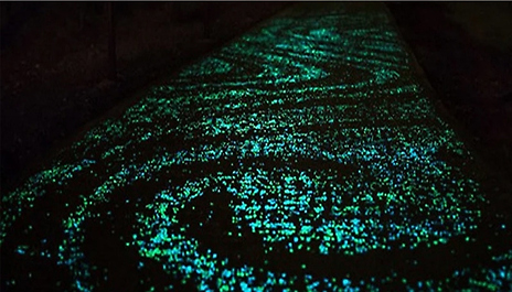 50-1000 Glow-In-The-Dark Pebbles - 8 Colours
