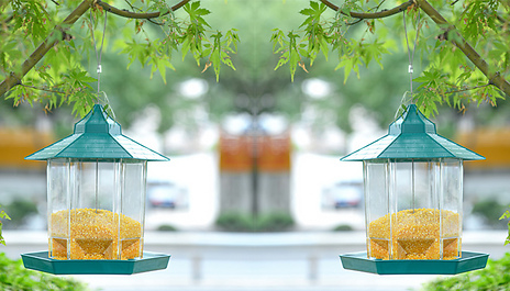 Bird Feeder with Canopy - 2 Colours