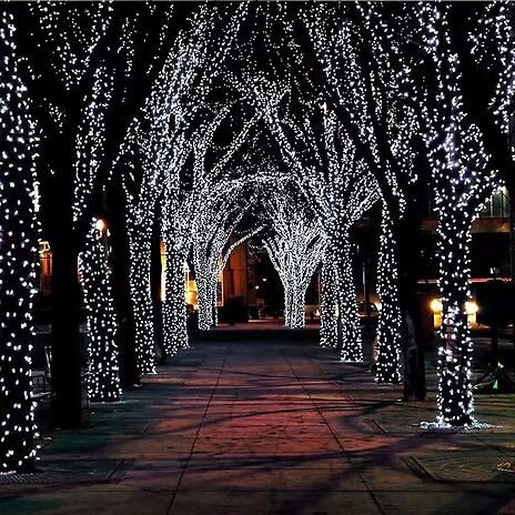 Decorative LED Solar Lights - 3 Sizes, 9 Colours