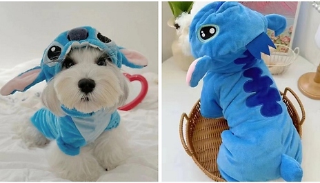 Plush Velvet Dog Outfit - 6 Sizes