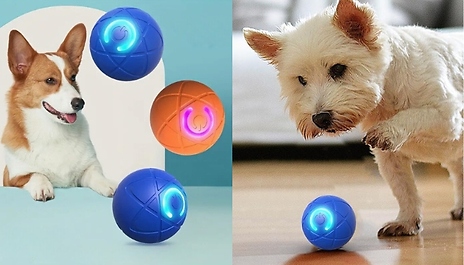 Interactive Dog Bouncing Ball Toy - 2 Colours