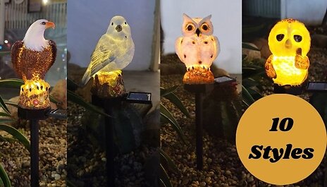 Waterproof LED Solar Outdoor Decoration & Light - 10 Styles