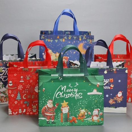 12 or 24-Piece Structured Christmas Gift Shopping Bags