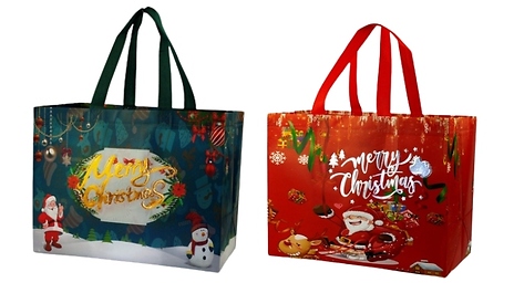 12 or 24-Piece Structured Christmas Gift Shopping Bags