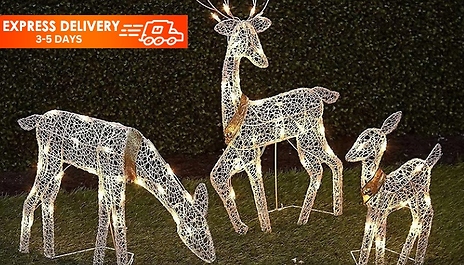 1 or 3 Light-Up 2D Reindeer Outdoor Decorations! - 3 Sizes