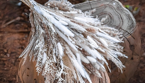 50-Piece Elegant Dried Pampas Grass Set