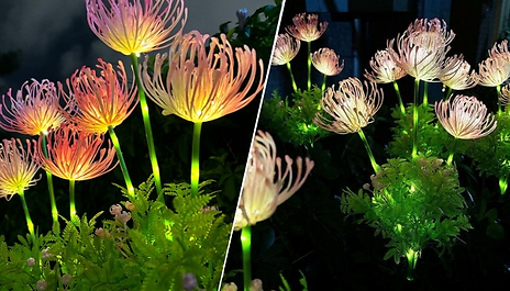 1 or 2-Pack Solar Outdoor Equinox Flower Lights!