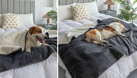 Thick Fleeced Warm Pet Blanket - 4 Colours & Sizes