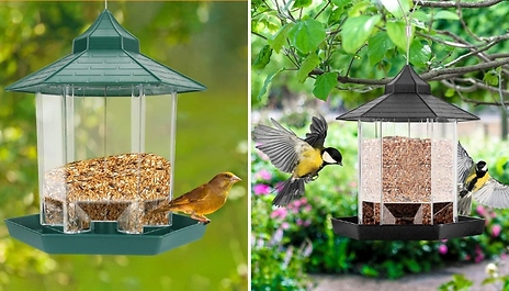 Bird Feeder with Canopy - 2 Colours