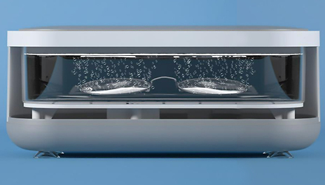 Ultrasonic Cleaning Bath