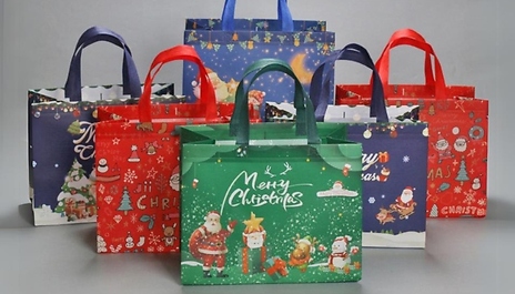 12 or 24-Piece Structured Christmas Gift Shopping Bags