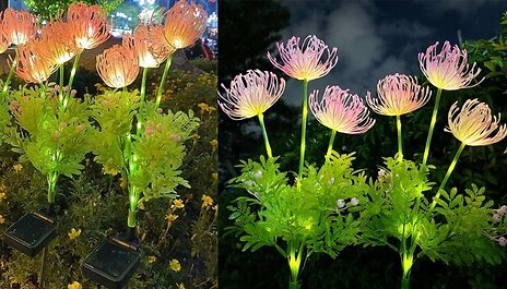 1 or 2-Pack Solar Outdoor Equinox Flower Lights!