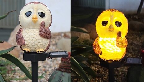 Waterproof LED Solar Outdoor Decoration & Light - 10 Styles